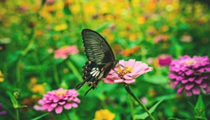 疫情放开后的生活点滴,疫情放开后心理防护