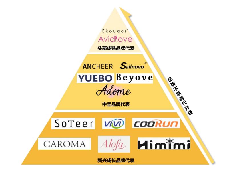 赛维公司的品牌,赛维2020年销售额