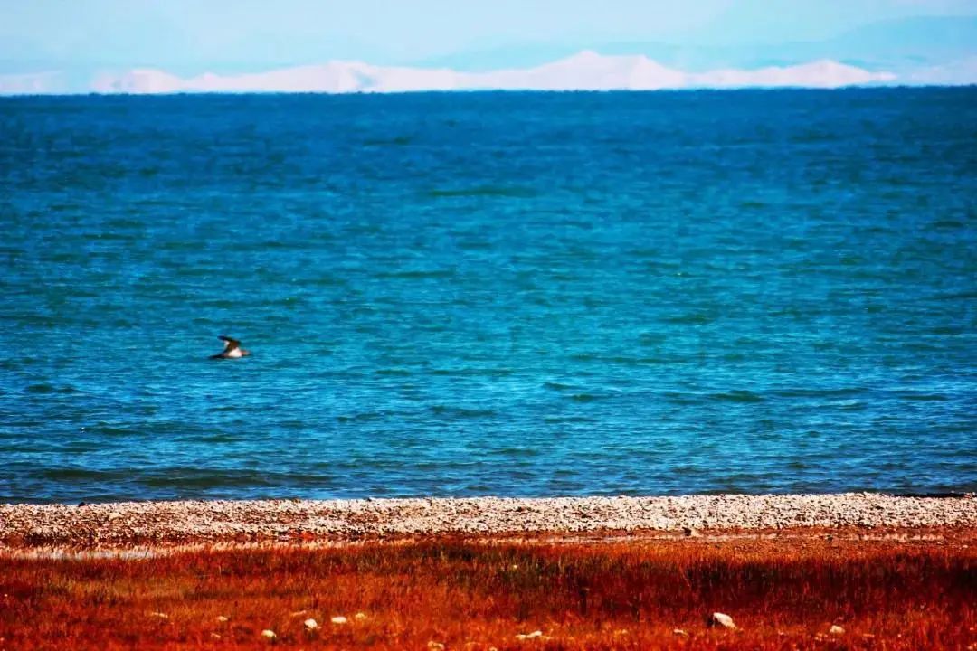 暑假游玩5天推荐的好地方,暑假值得去的旅游地点