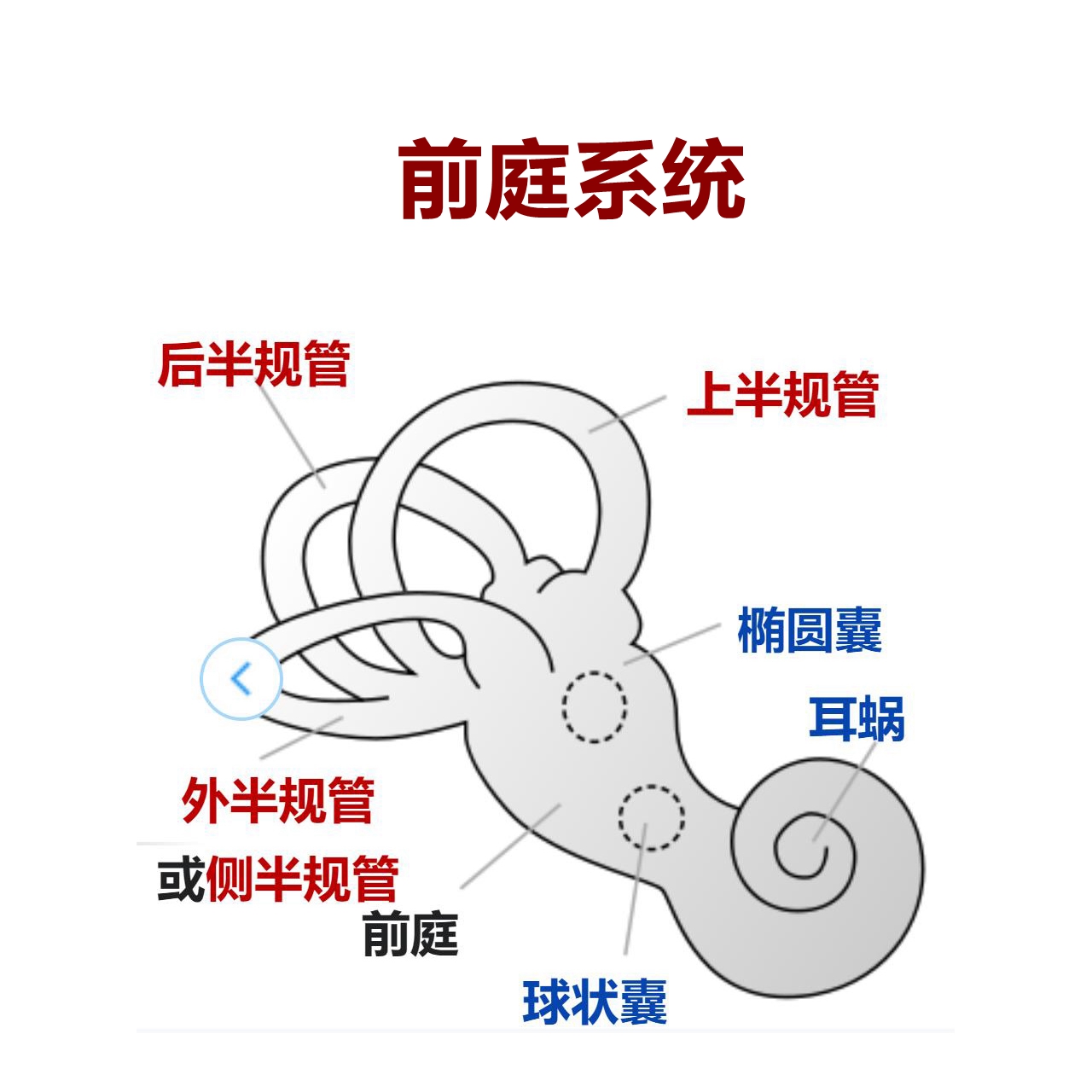 男子做竹圈治好母亲晕车,男子为母亲自制防晕车方向盘