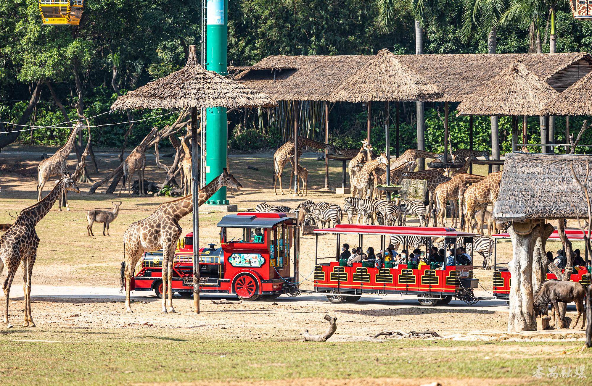 带你打卡“禺教于乐·趣味研学游”线路，在趣玩中感受大自然和科学魅力