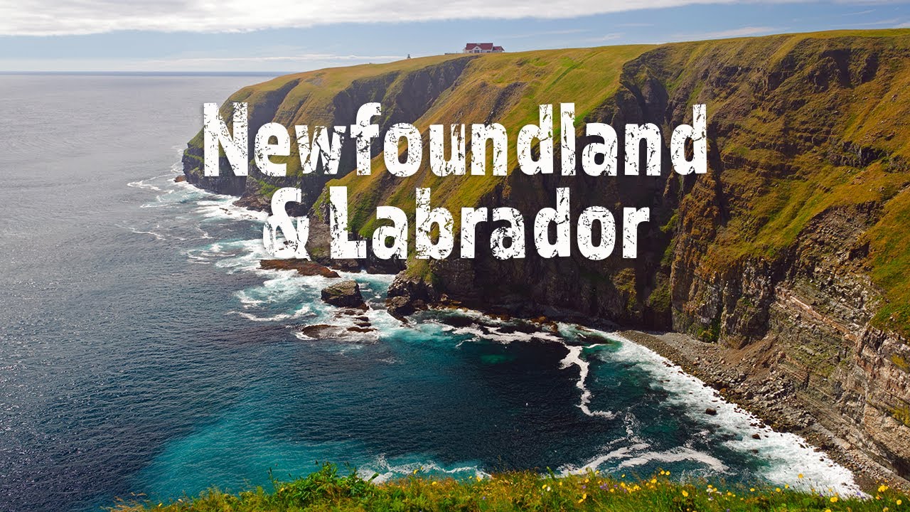 移民芬兰和移民新西兰的对比,移民纽芬兰政策