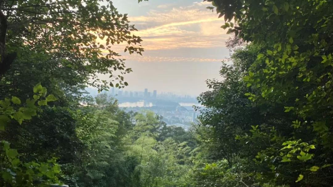 古诗中的南京美景,唐诗三百首关于南京