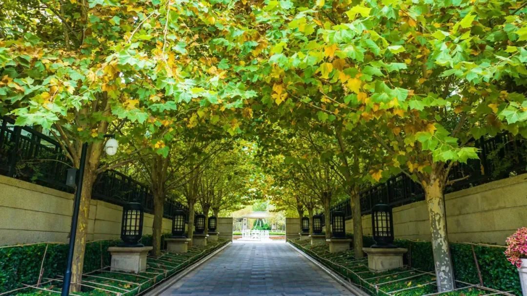 行业界的大佬交流会,业界精英莅临公司参观