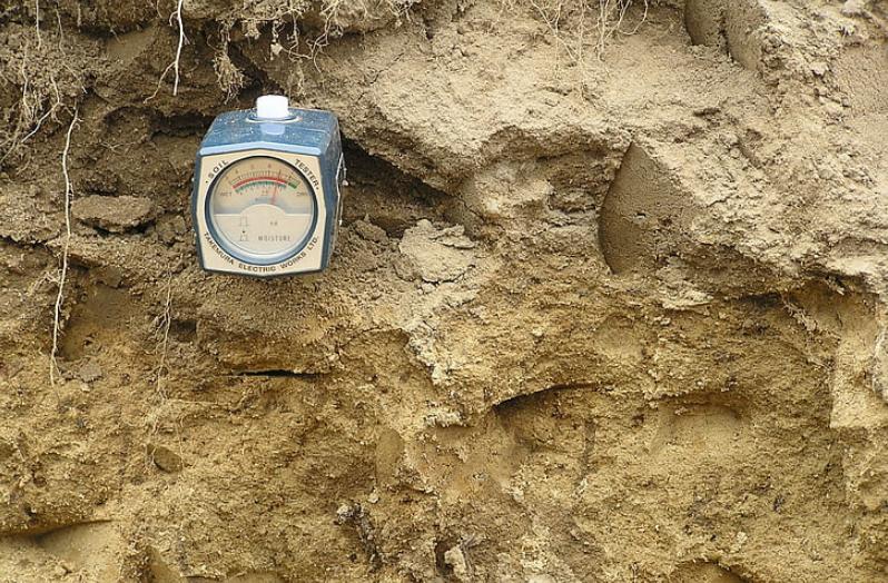 土壤盐碱化的最佳方法,土壤盐碱过高种植什么可以改善