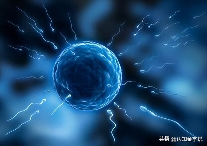 中国多地捐精合格率仅20%？男性精子腰斩50%，真相究竟是什么？
