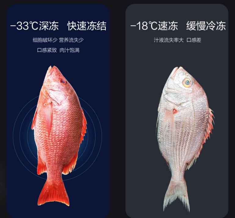 鏍煎姏鍐扮鏅跺紭bcd-228weg,鏍煎姏鍐扮鏅跺紭bcd-302wpqg