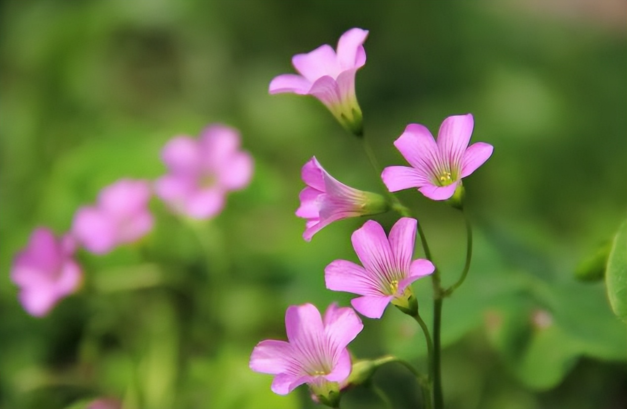人在倒霉前这三件事会变得很顺,人在最倒霉的时候好运慢慢到