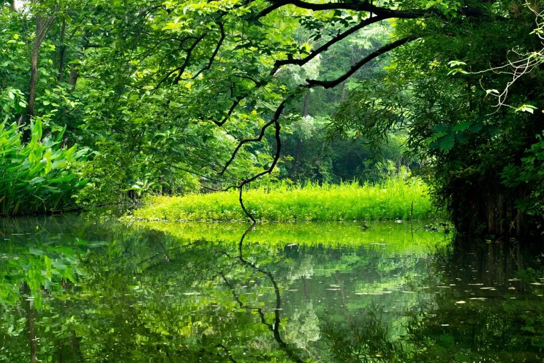 几月出生水旺,你几月出生就代表你是什么