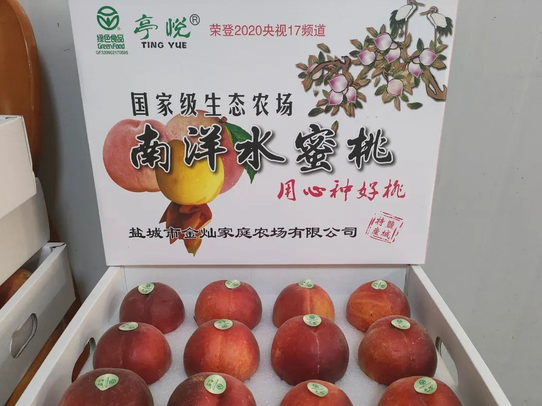 盐城：“特色农场”铺就乡村振兴致富路