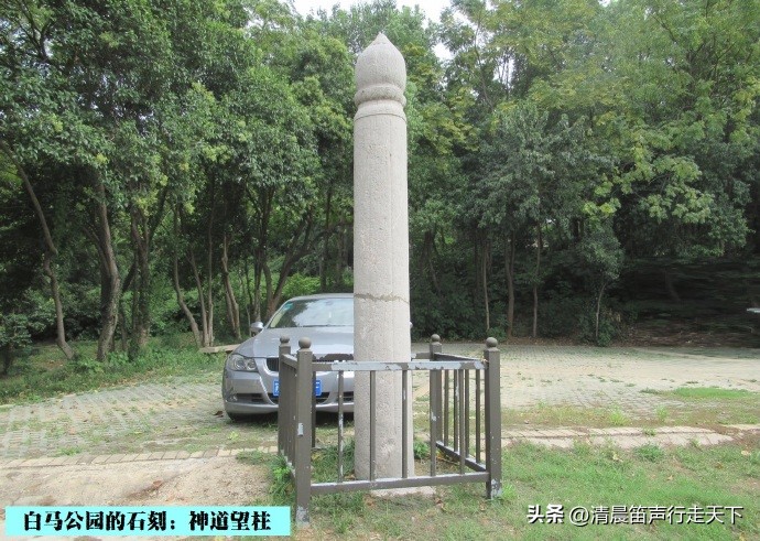白马公园白马石刻朝代,公园石刻精品欣赏