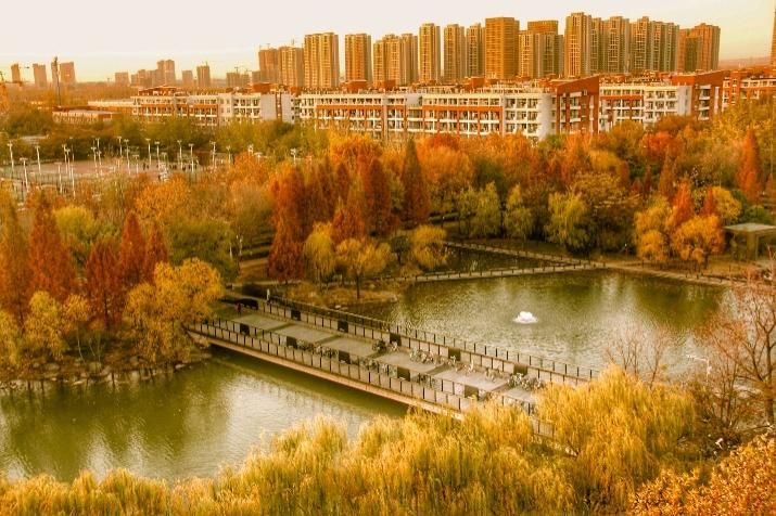 河南大学生创新创业标兵,河南省高校创新团队名单