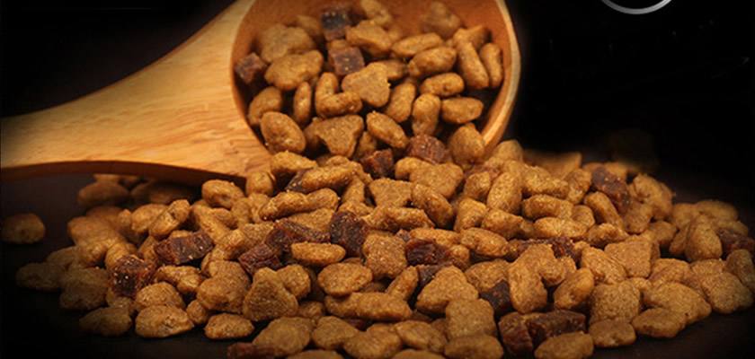 怎么帮狗狗剪头发,怎么帮狗狗洗澡最舒服最简单