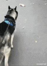 “易孕体质是种什么样的感受？”哇哈哈哈哈太真实了: