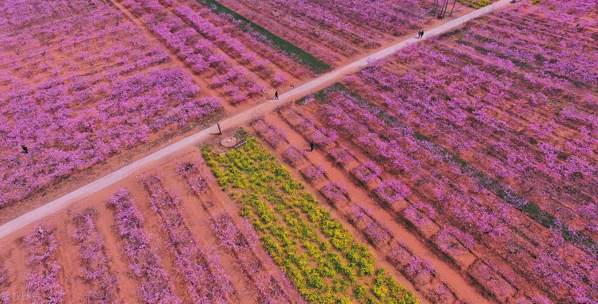 国家为什么要大力发展洛宁县,尉氏县的发展潜力有多大