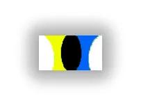 眼花缭乱的科学实验,各种视觉错觉