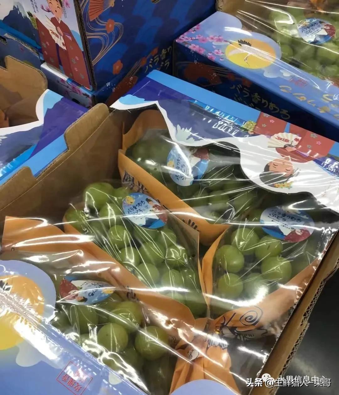 在水果中浆果是分哪几种,水果分类浆果