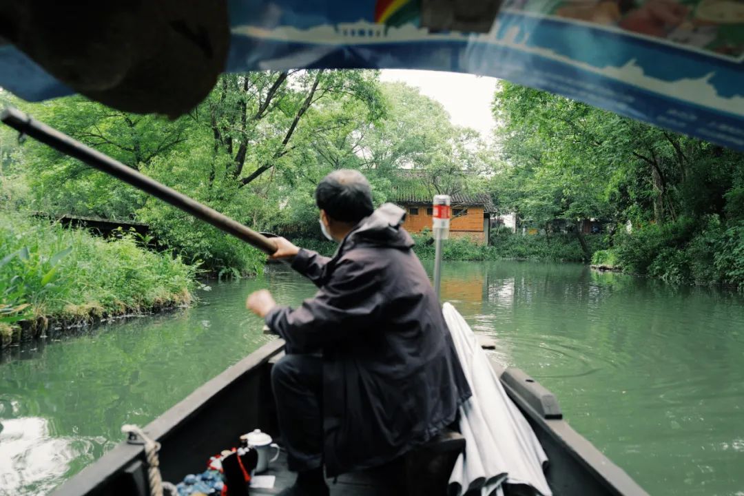 春天的潺潺溪水,春天的顶流
