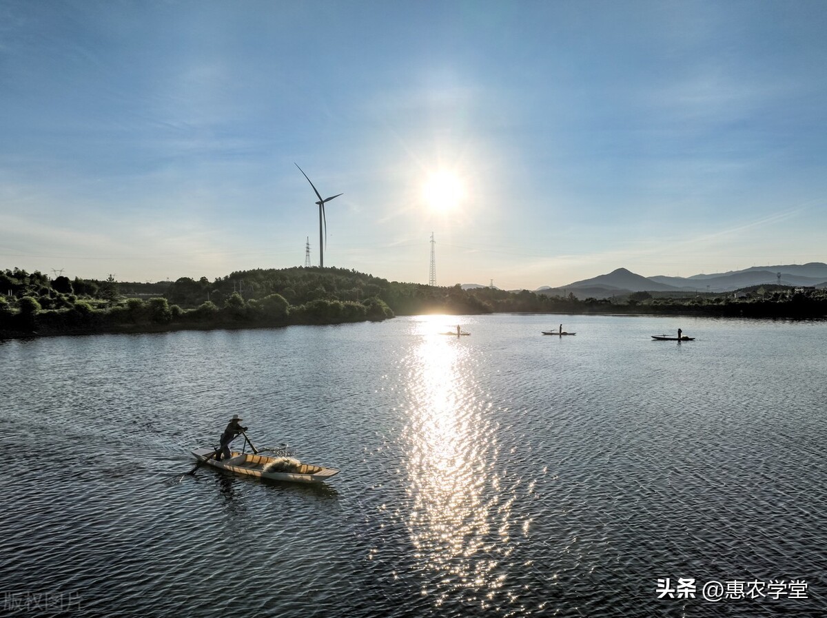 2022年水产养殖国家有多少补贴款,2019年水产养殖补贴多少钱一亩