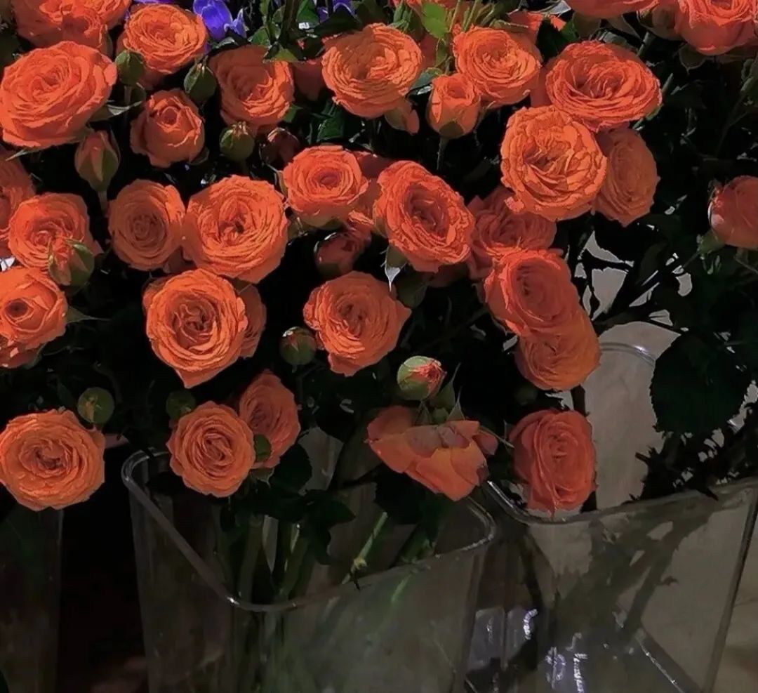 超有感觉的背景图伤感,小众超有感觉的背景图