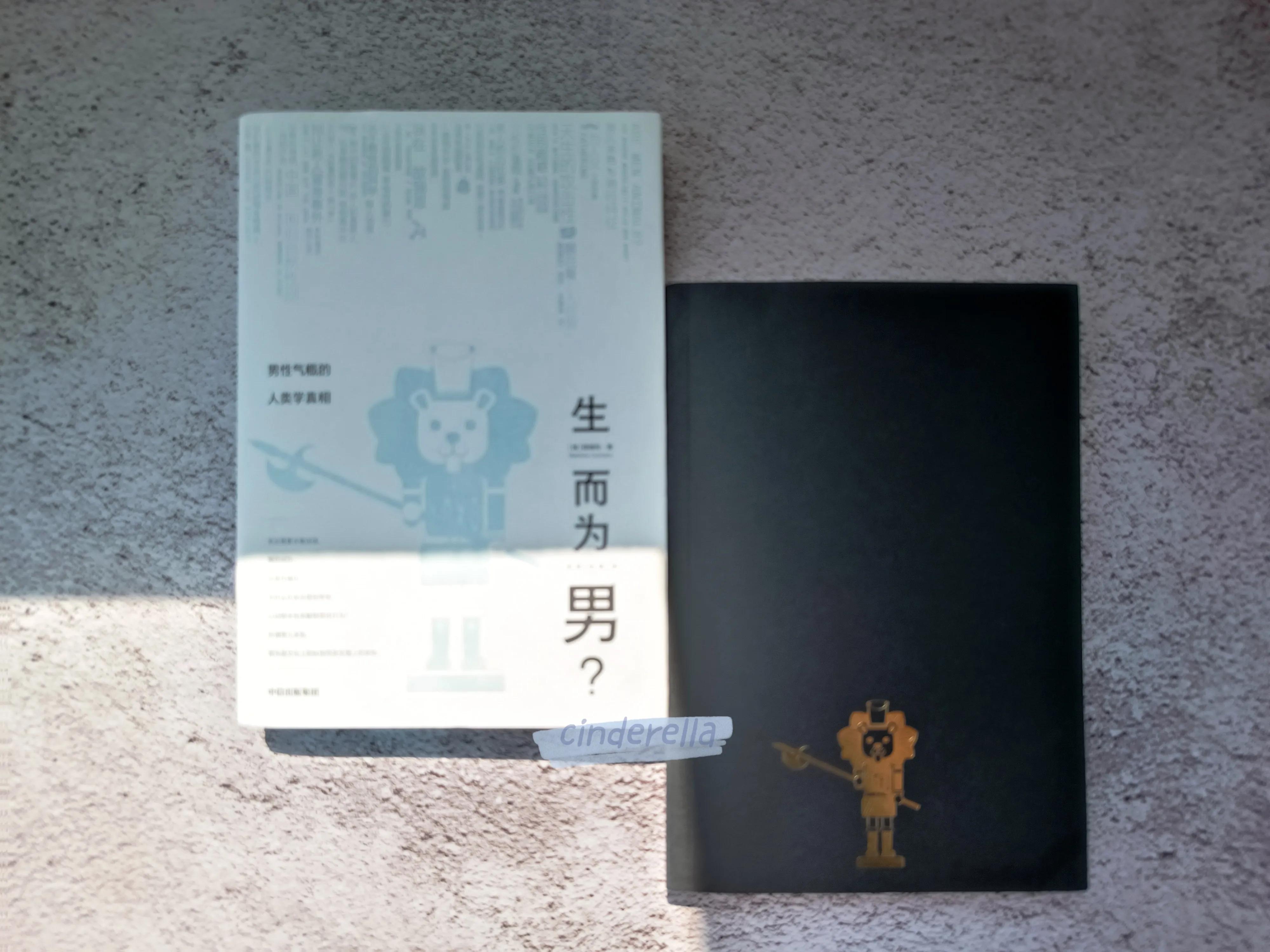 生而为男,生而为人男生经典版