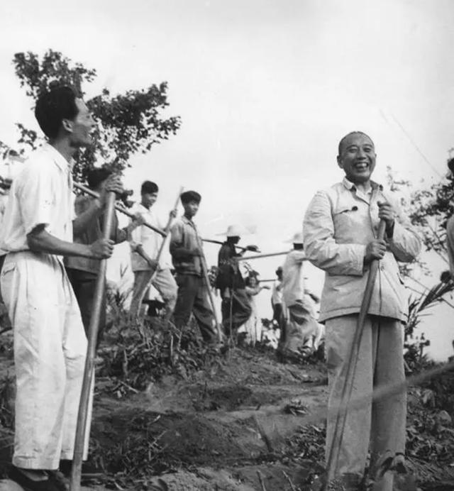 1955年*震王**重病，彭德怀犹豫两天却迟迟不敢批示手术：我没有把握