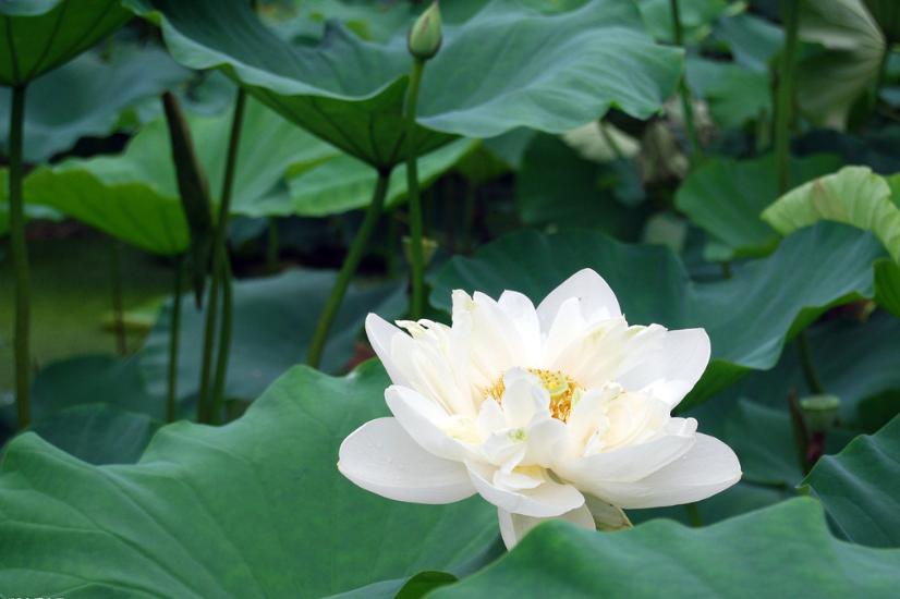 收到亲戚礼物如何拒绝他,亲戚之间千万不要做这三件