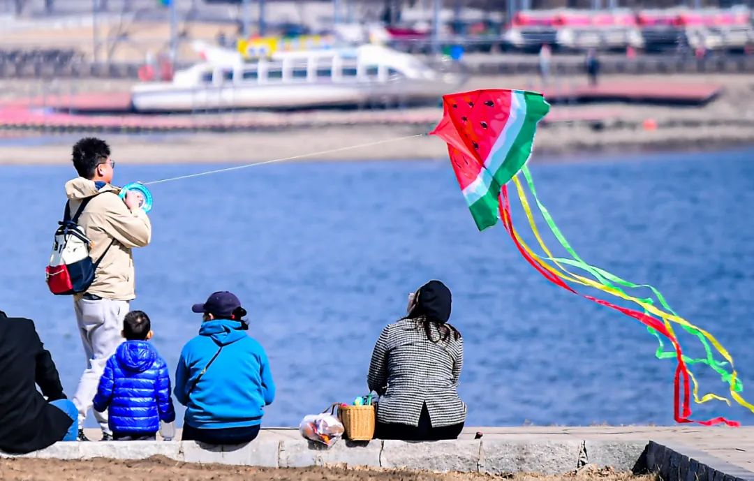 沈阳湿地公园丹顶鹤放飞,沈阳最近郊游最佳地点
