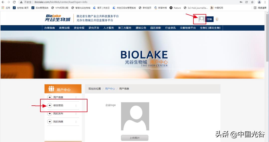 免费文献检索，面向光谷生物企业！快来申报