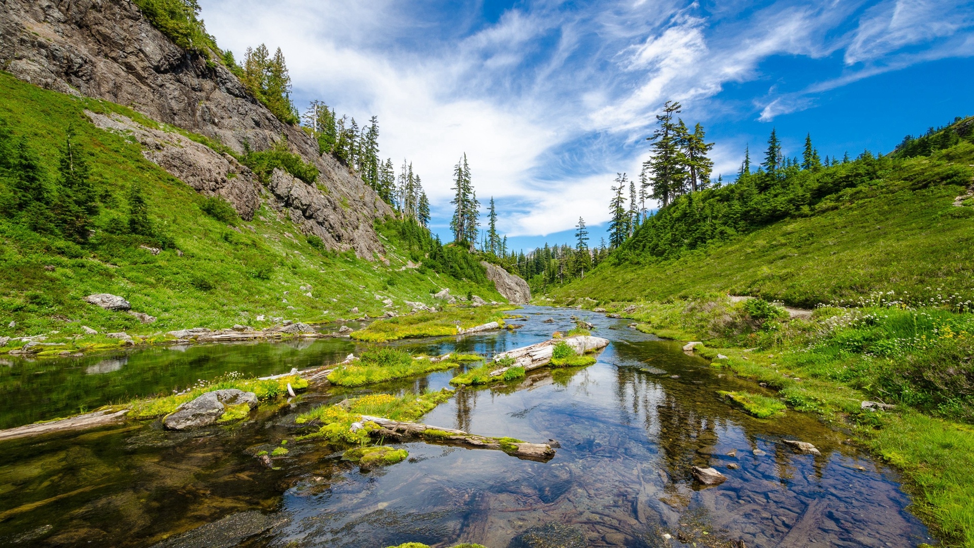 注册香港投资公司的好处与弊端,在香港注册公司的好处和坏处