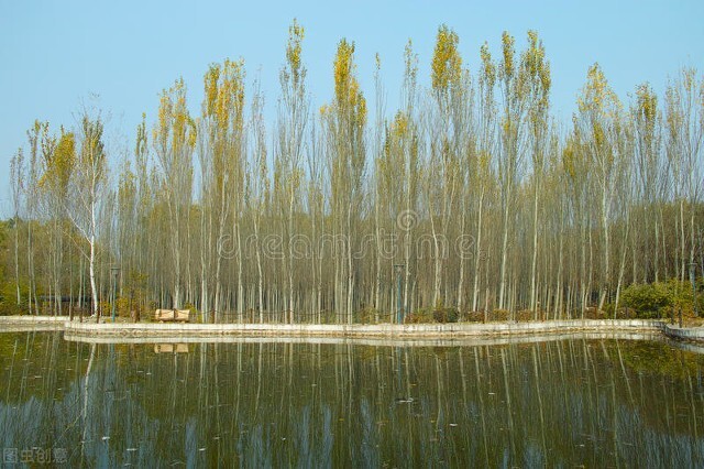 黄昏完整版免费阅读,黄昏剧情完整版