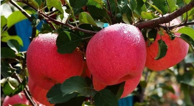 甘肃省各市颜值排名,甘肃省各市照片