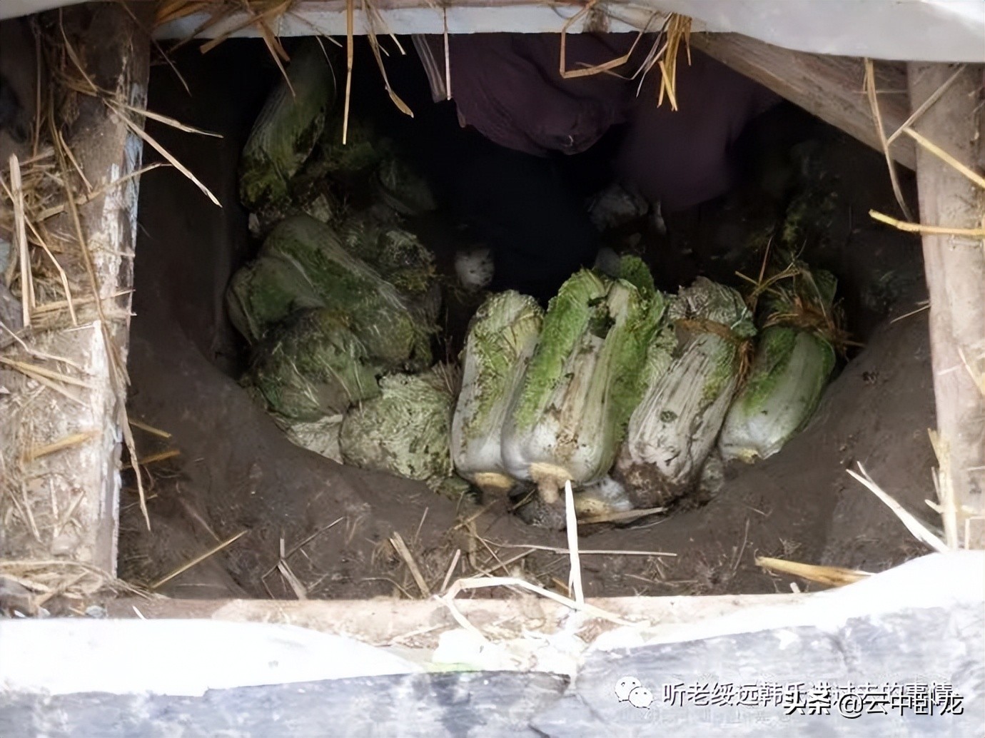 老韩讲述的故事,老韩讲故事全集视频