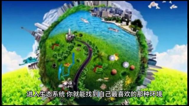 赚钱的门道书籍,赚钱的门道小说