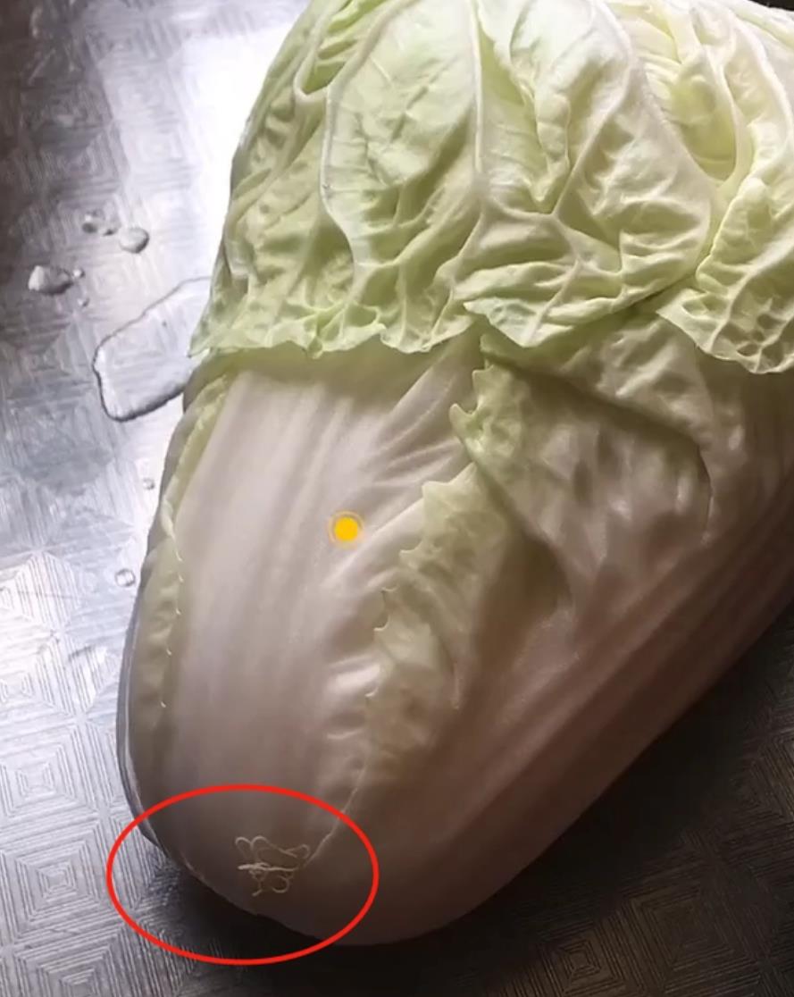 女子买白菜回家一掰开看见寄生虫,女子买草莓发现有虫子