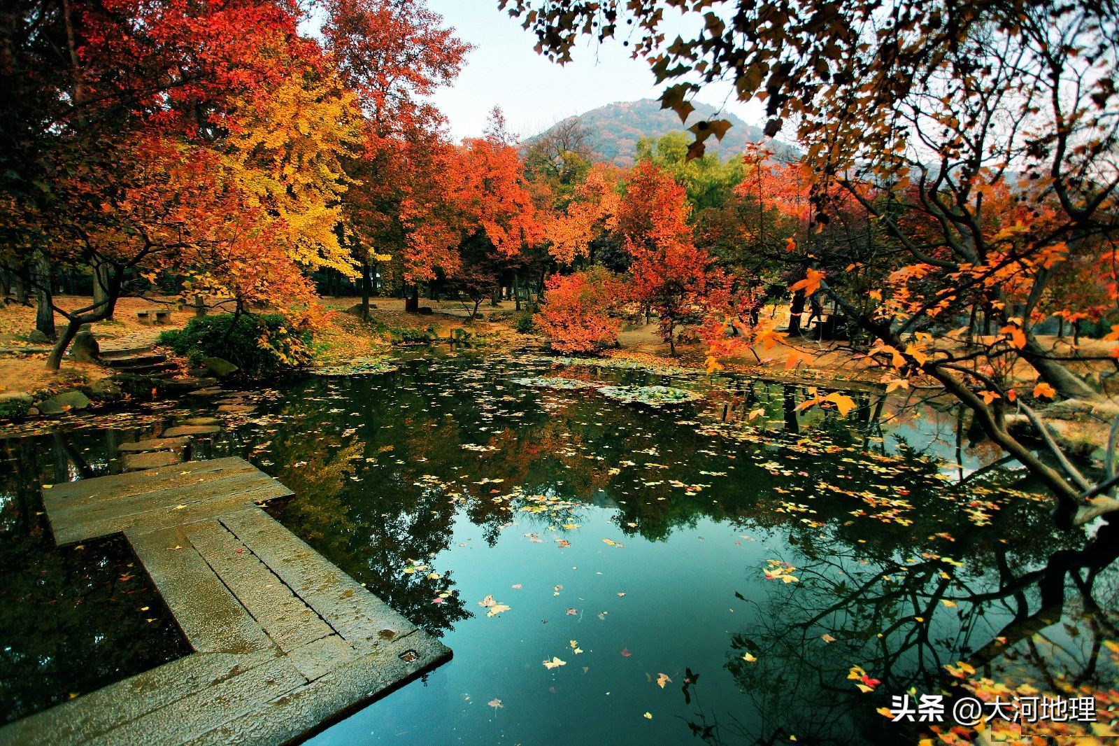 旅游攻略国内十大必去景点南方,中国南方著名景点