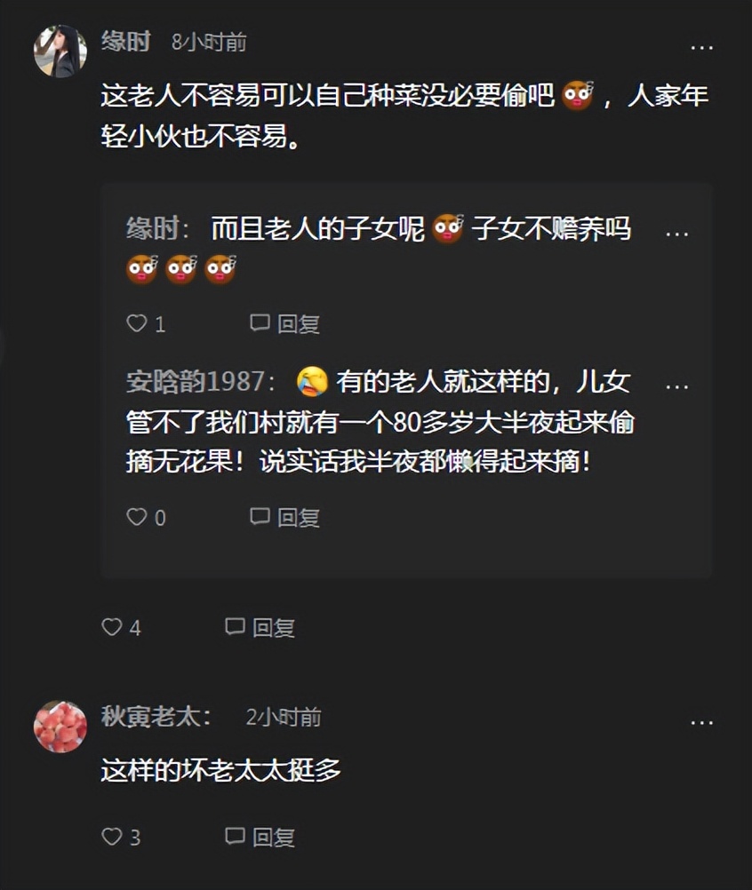 返乡创业老人偷菜后续,农村小伙回乡创业租用田地种植