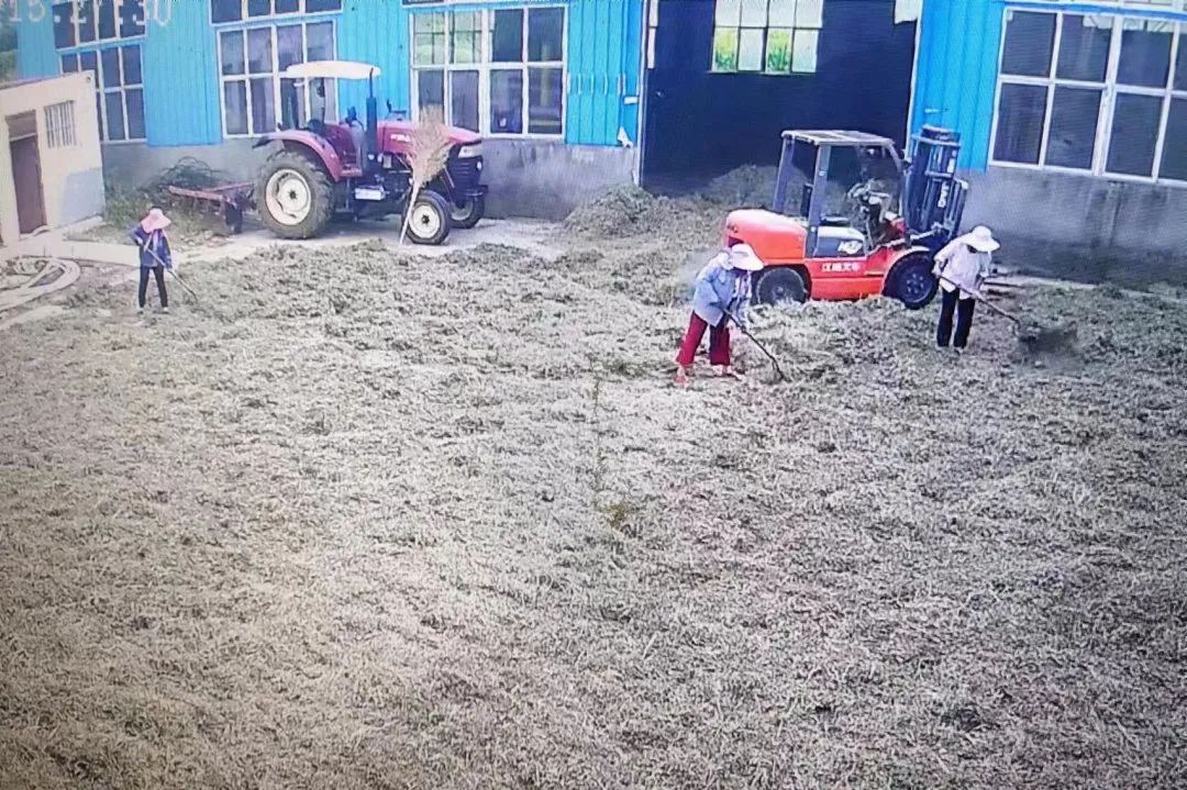 产业“联姻”产下“金娃娃”！