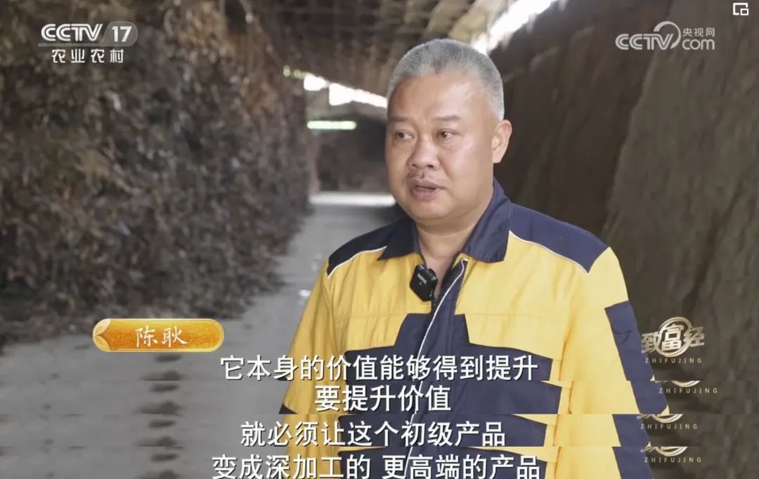 一根“树皮”引发的国际知名品牌