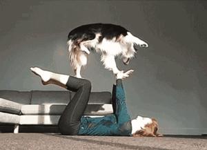 “这狗我认识，考试坐我旁边。”你什么时候被宠物的智商震惊过？