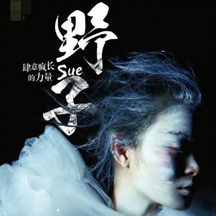 蔡健雅对苏运莹野子的评价,苏运莹蔡健雅歌曲