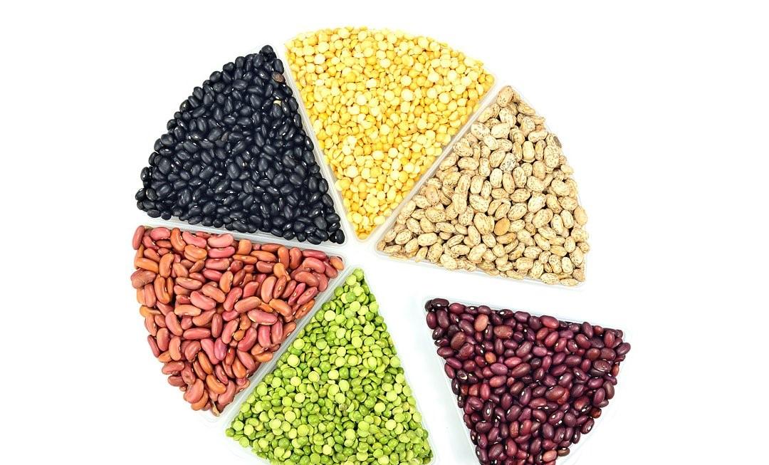 含蛋白质高的食物大概有哪些,有哪些蛋白质含量高的食物推荐