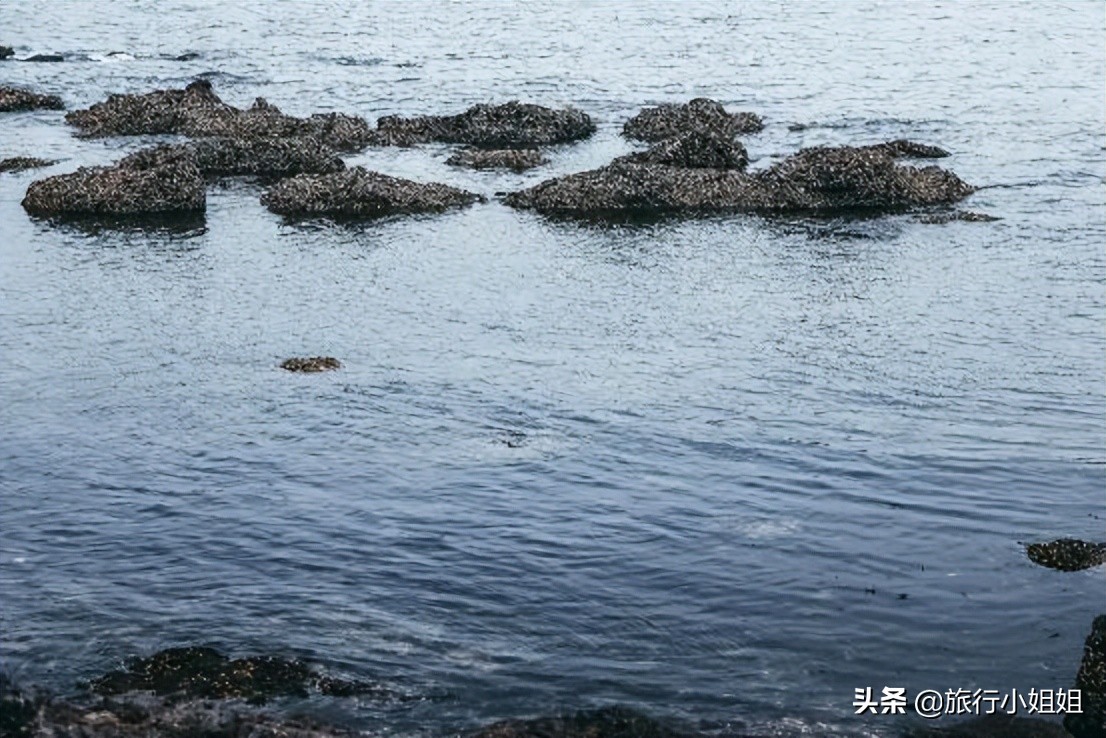 夏日海边微醺氛围感,滨城风光秀丽浪漫气息爆表