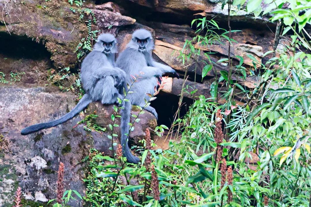 昆明七彩云南怎么样,七彩云南避暑家园