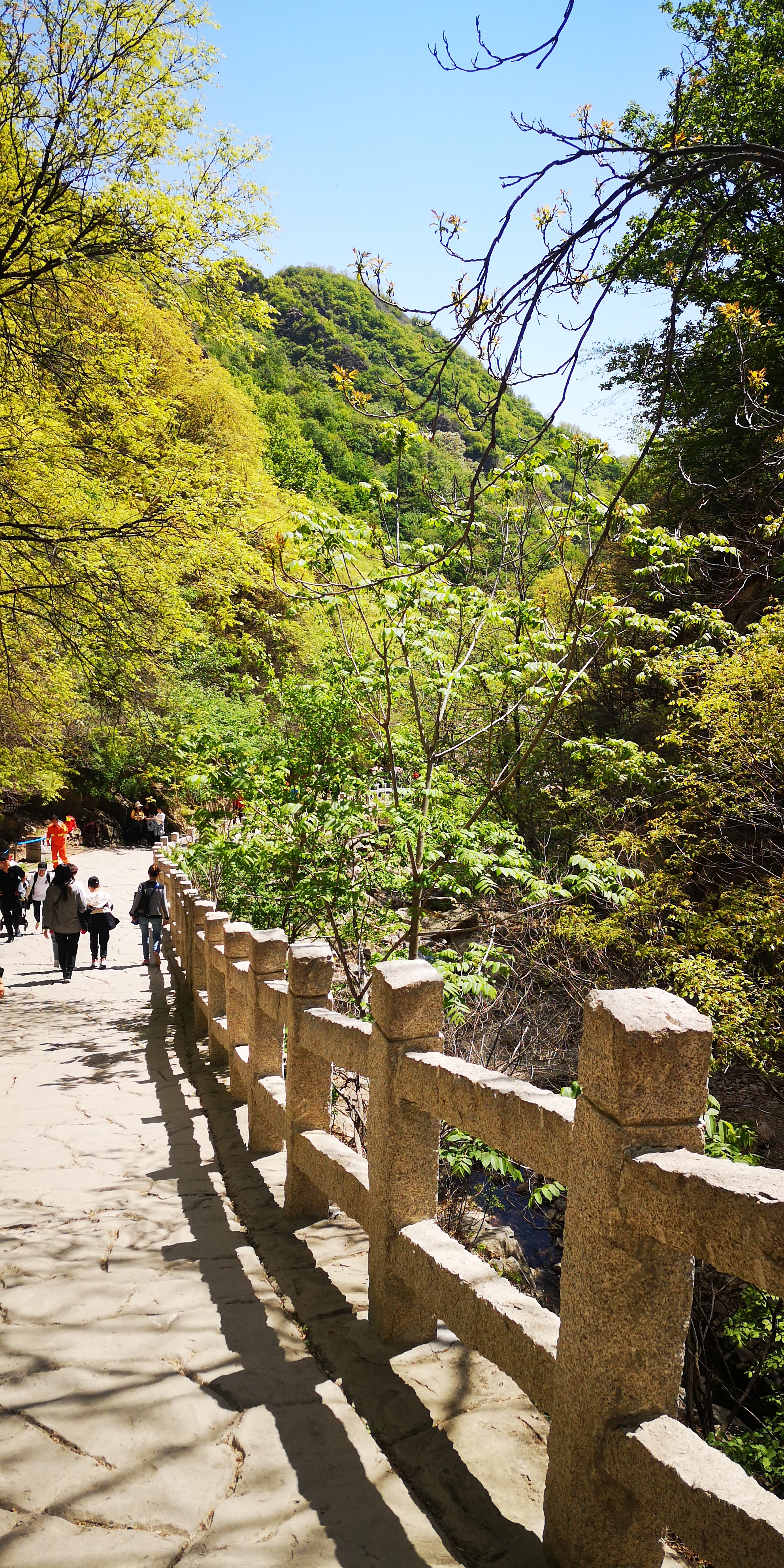 天津梨木台景区值得夏天去的地方,天津蓟县梨木台风景区路线