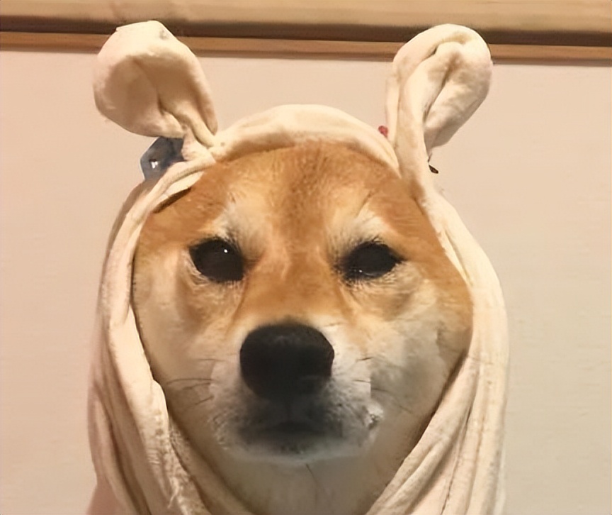 有治鼻炎的好方法吗,哪种药治鼻炎比较好