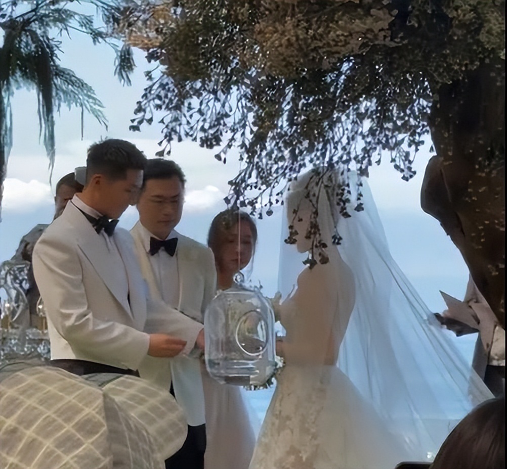 何超莲和窦骁婚礼娘家人出席了吗,何超莲窦骁将举办婚礼罕见同框