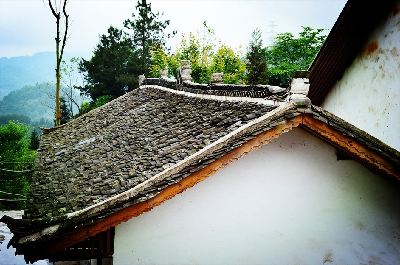 大城武汉,小城恩施——绿油油的伍家台