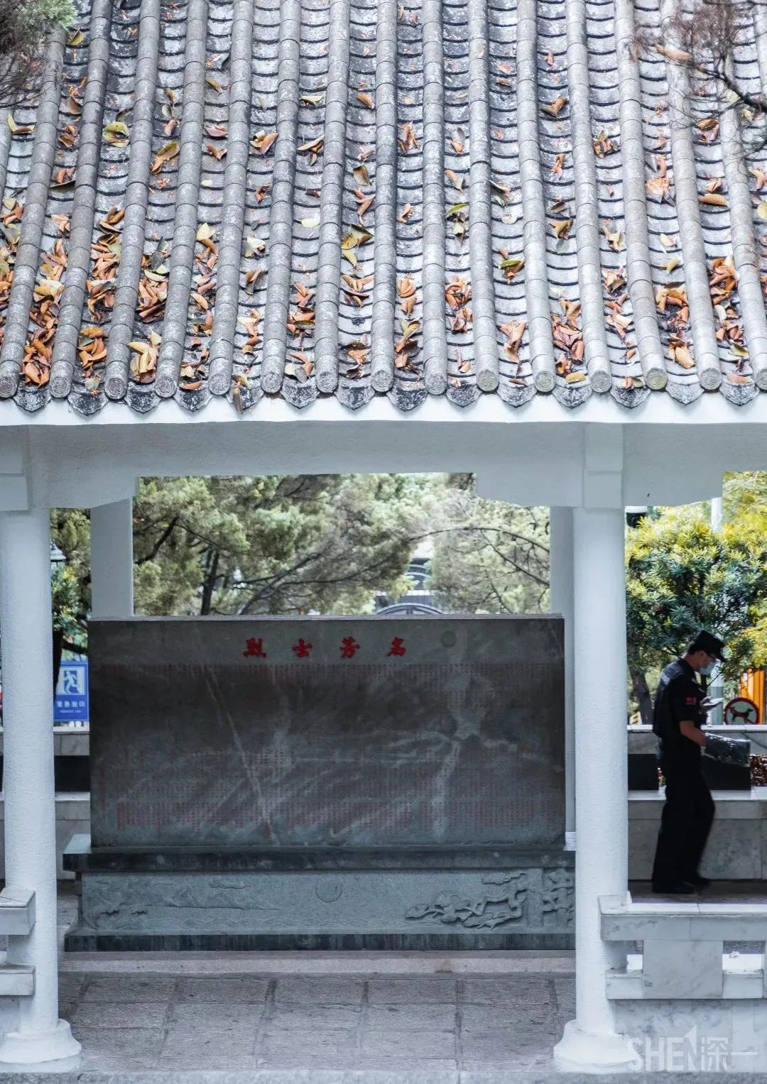 遇见深圳红|串联8个特色景点！这条线路看完个个想跟着打卡