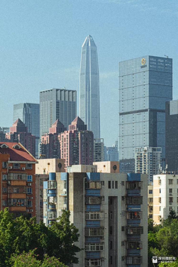 好好走过红荔路，才知道住福田有多让人羡慕